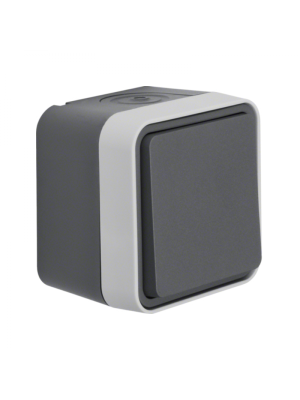 Intrerupator simplu/cap scara IP55 gri mat W.1 Berker