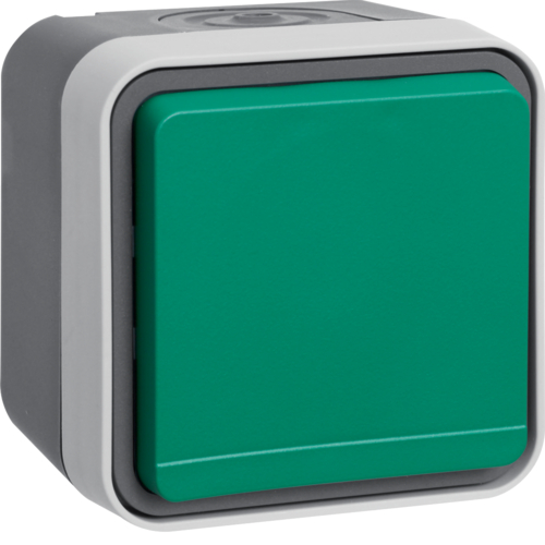 Priza Schuko verde IP55 W.1 Berker Priza Schuko verde IP55 W.1 Berker